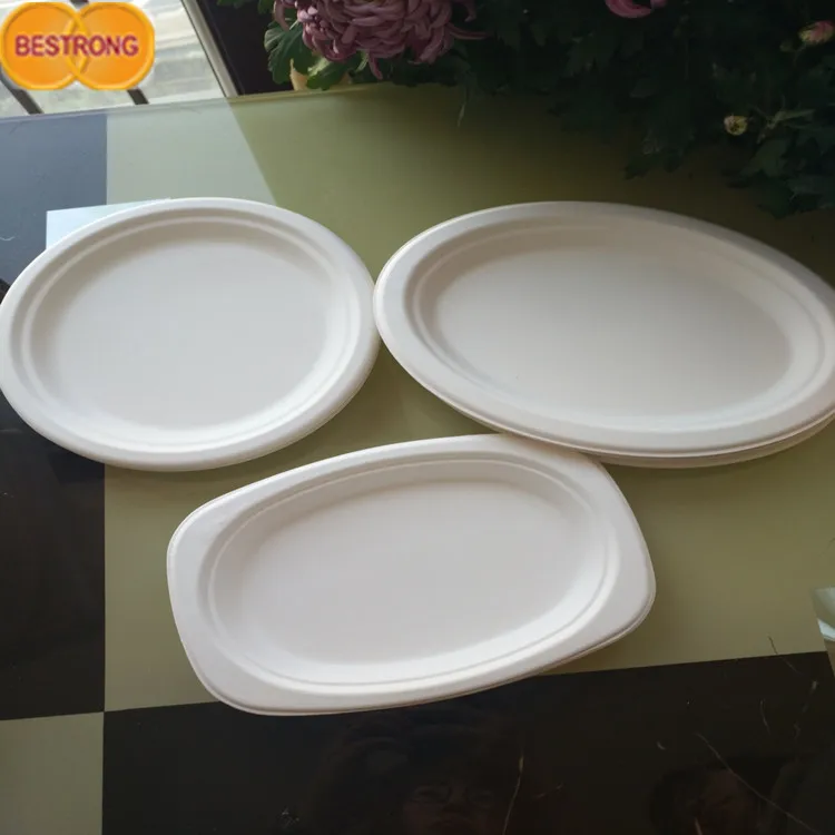 Environmental Bagasse Pulp for Tableware With Factory Price
