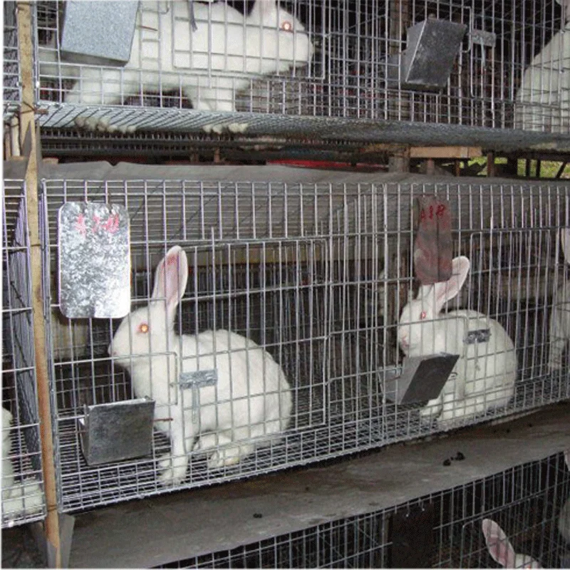 Metal cheap commercial wholesale rabbit cage breeding