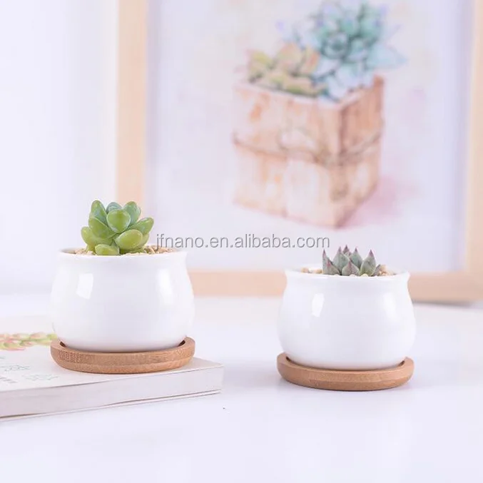 
3 inch small round white succulents ceramic pots with bamboo tray 