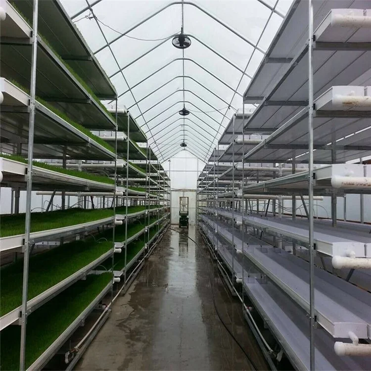 Australia Hot Sale Hydroponic Fodder System For Cattle Green Fodder Sprout System Container Type Hydroponic Green Fodder Sprouti