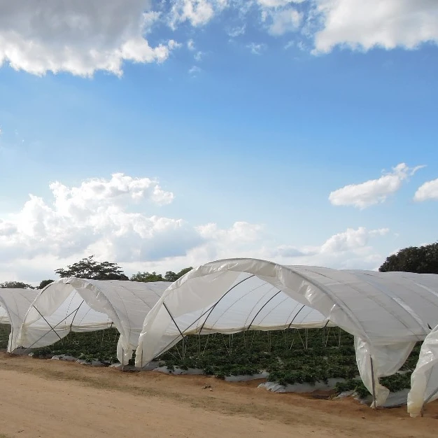 Plastic cover rain shelter greenhouse for sale