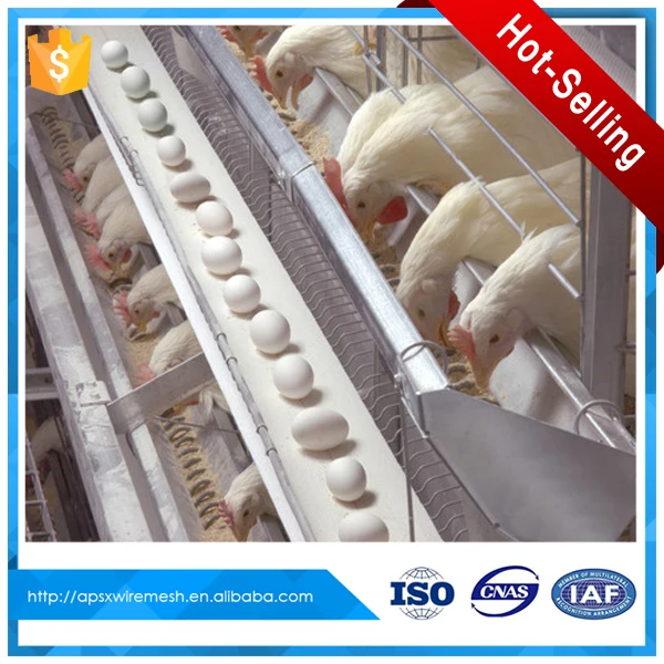 Пирамиды типа слоя батареи клетка для птицефабрики дом
