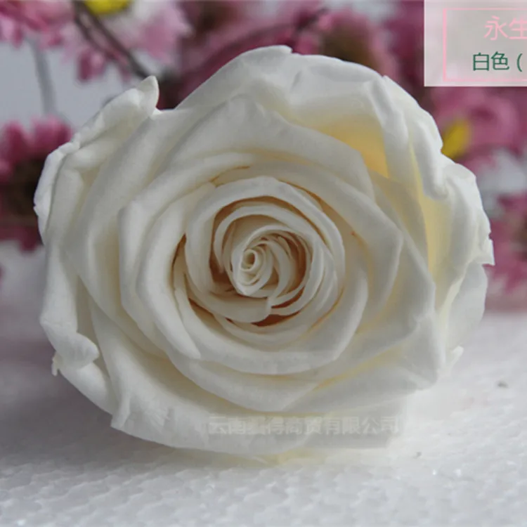 
5-6 cm Preserved flower Roses Head Eternal natural Rose Flower head for Wedding decoration 