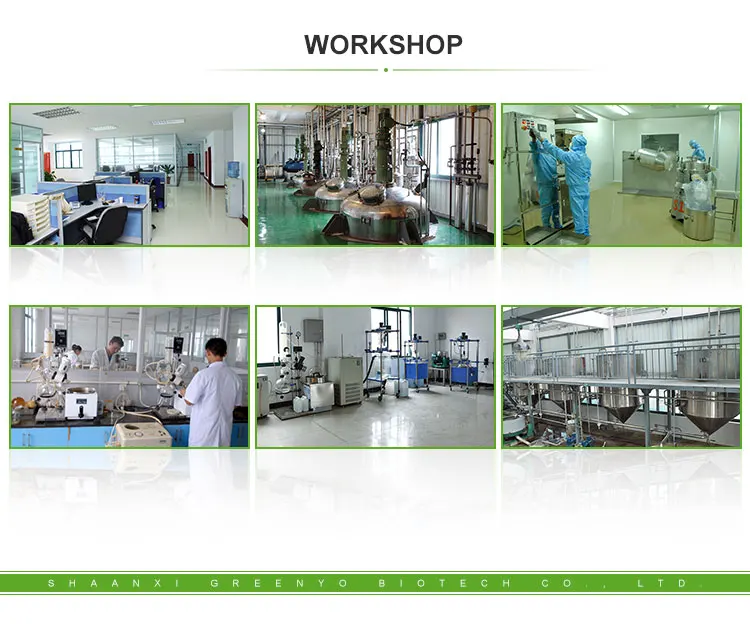 
Wholesale Horny Goat Weed Extract Icariin Epimedim Extract for Sale 