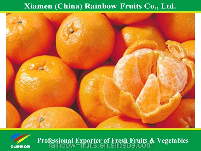 
Hot Sale Fresh Sweet High Quality Ponkan/Lugan Mandarin Orange 