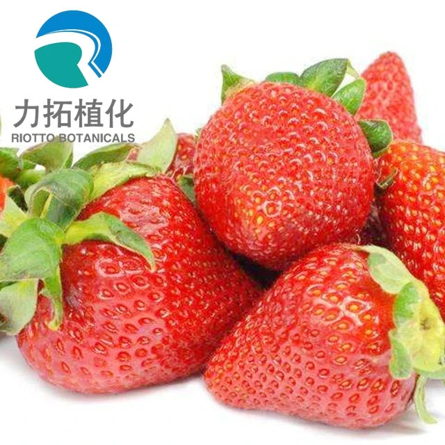 
Completely Soluble fresh Strawberry powder 