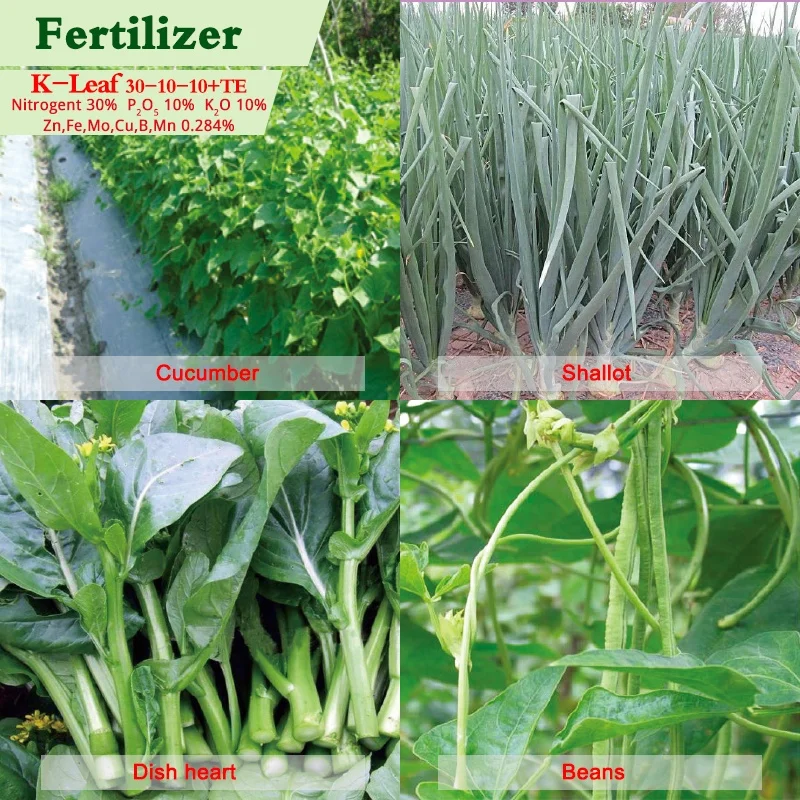 NPK Water Soluble Compound Fertilizer KOMPUL SLUEK LEAOR K-Leaf 30-10-10 +TE