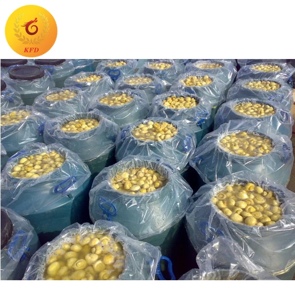 
Mushroom in Drum in Brine 