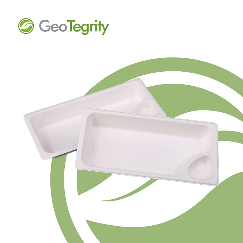 
Sugarcane Disposable round Plate 9' 