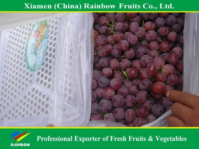Юньнань, красный шар, Свежий фрукт винограда, красный виноград Синьцзян, красный виноград из Китая, импортные экспортные компании, Пуна