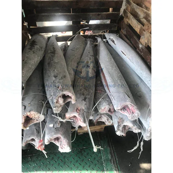 Frozen wahoo HGT 5KG+ (Acanthocybium solandri)