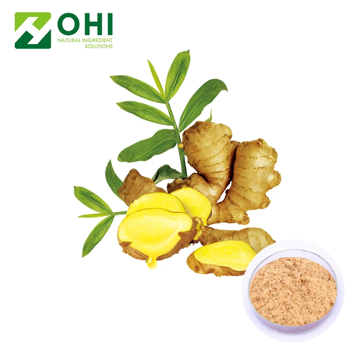 nature Extract ginger powder / organic ginger powder Zingiber officinale 5% Gingerols