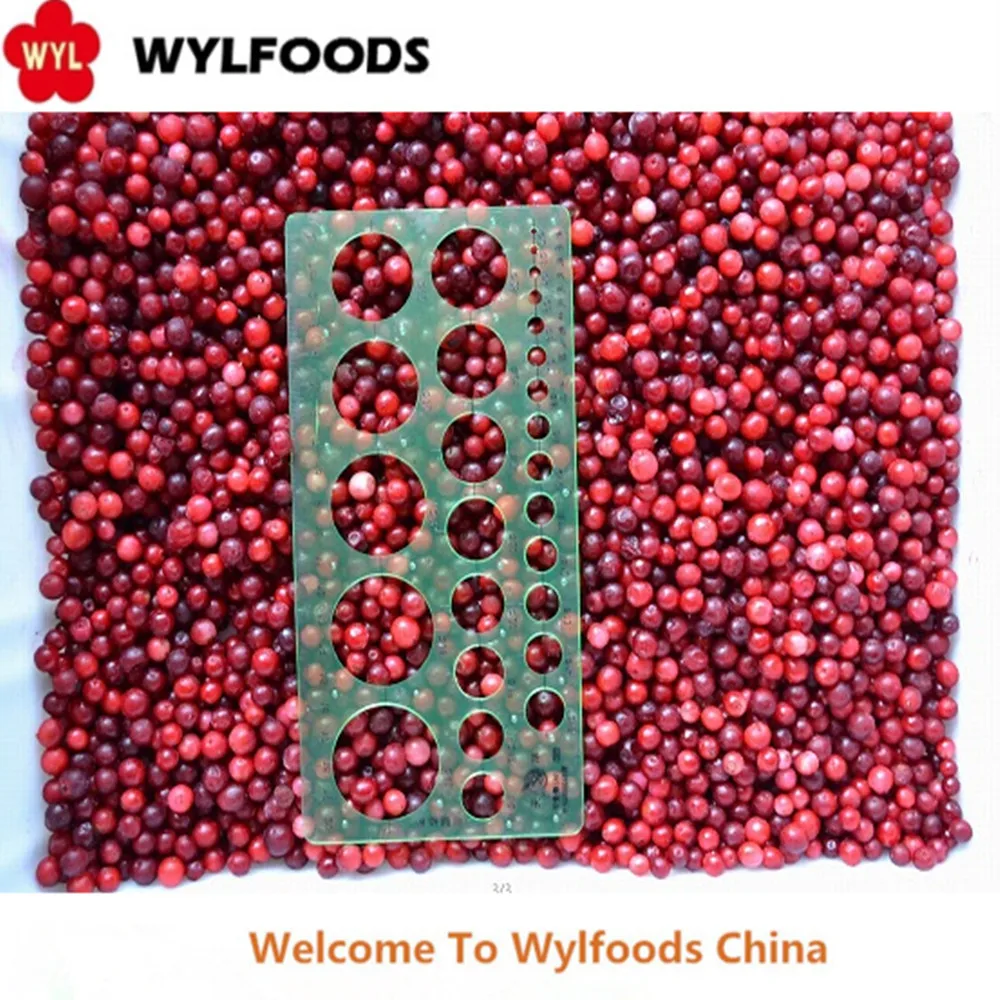 Andrey lingonberry 4