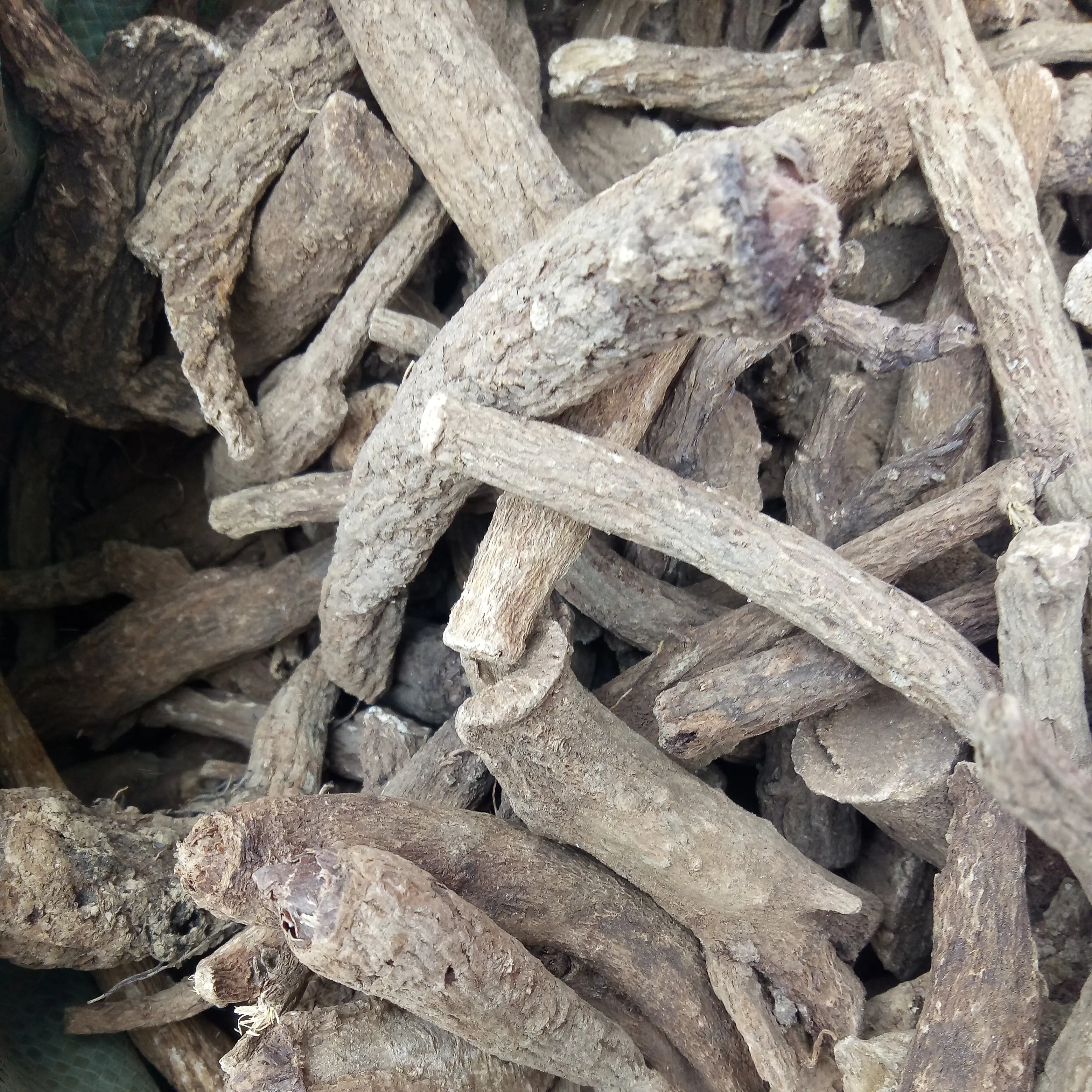 
Natural dried big size low pesticide Costus Roots for sale 