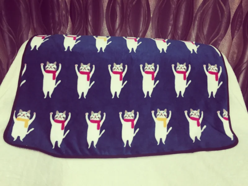 
Factory price soft baby flannel fabric cute cat pattern children air conditioning blanket 