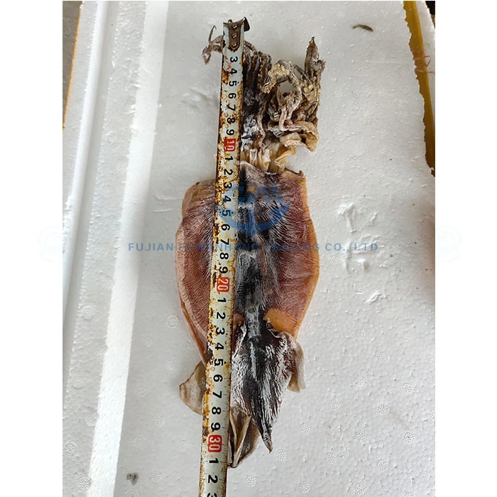 
Moisture Dried todarodes squid 