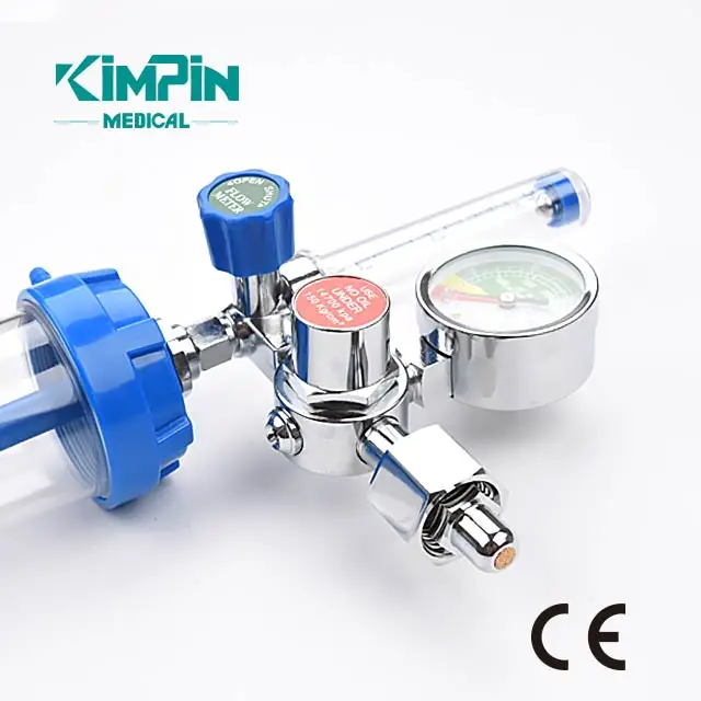 Buoy Type Inhalator Pressure Gauge Pressure Reducing Valve Oxygen Regulator W21.8 G3/4