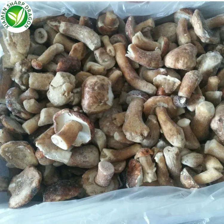  Замороженные Свежие грибы Funghi Porcini