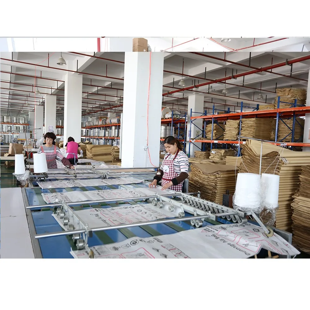 Dreammao Exported Container Customized with Protect cartons reusable PP Woven air pump dunnage air bag for shipping