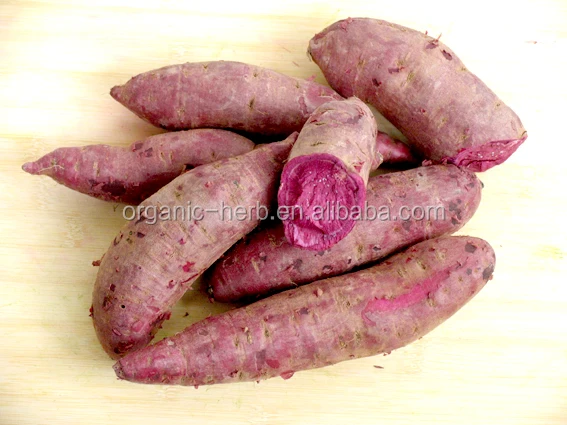 Natural Pigment Purple sweet potato extract