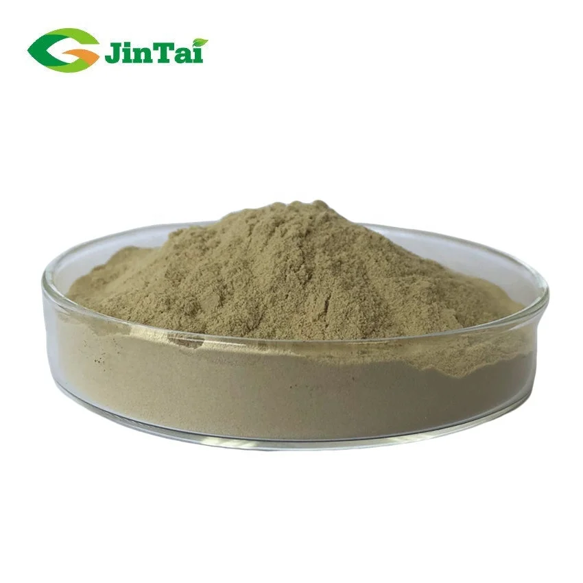 aloe extract Aloe ferox Miller leaf extract aloe vera extract