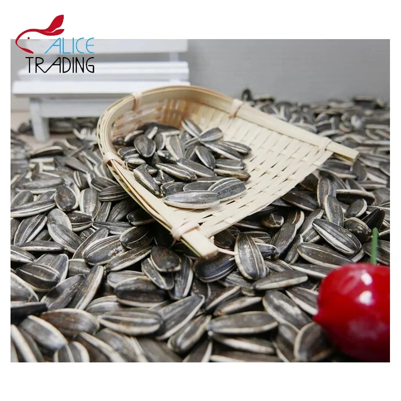 Chinese Inner Mongolia Factory Directly Supply Sunflower Seeds