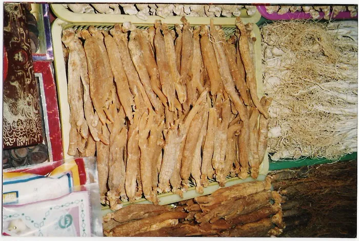 
2020 china red ginseng changbai ginseng 
