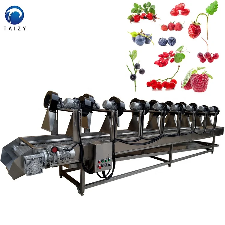 fruit and vegetable cleaner fruit washing machine fruit and vegetable washing and drying machine