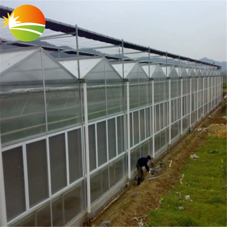 UV Polycarbonate PC sheet Hot-Galvanizing pipe Multi-Span Greenhouse