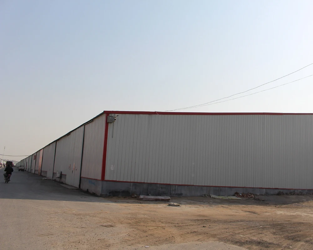 Конструкция из стальной конструкции ISO дизайн склада Dwg