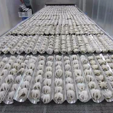 Wholesale frozen baby octopus price