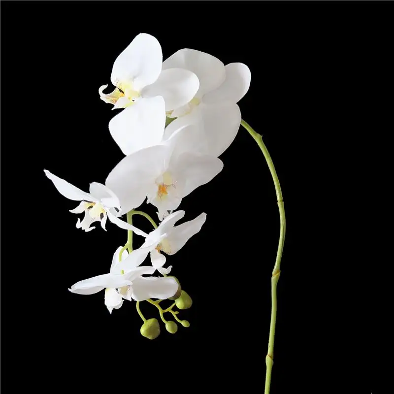 52cm Simulation White Phalaenopsis Orchid with Pot and Leaves