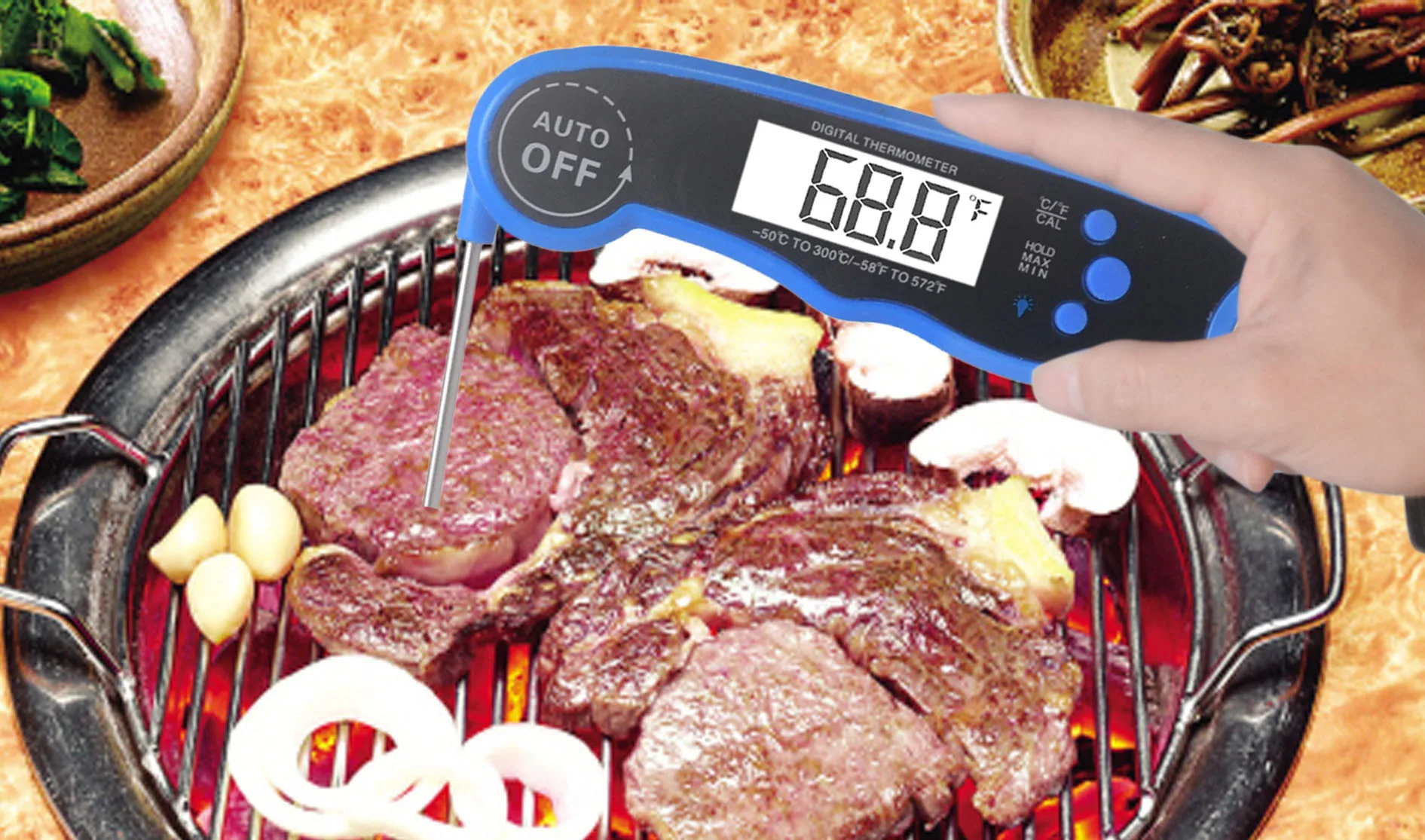 Factory Hot Sale Professional Waterproof Digital Meat Thermometer with Digital Probe Oven Thermometer
