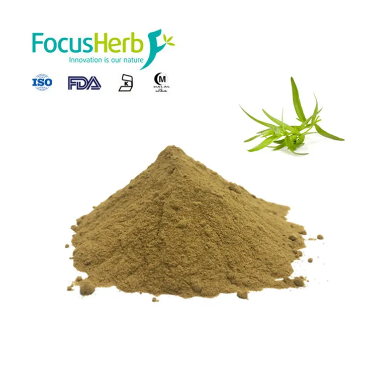 
Friendly Plant Herb Tarragon Extract With Best Price 