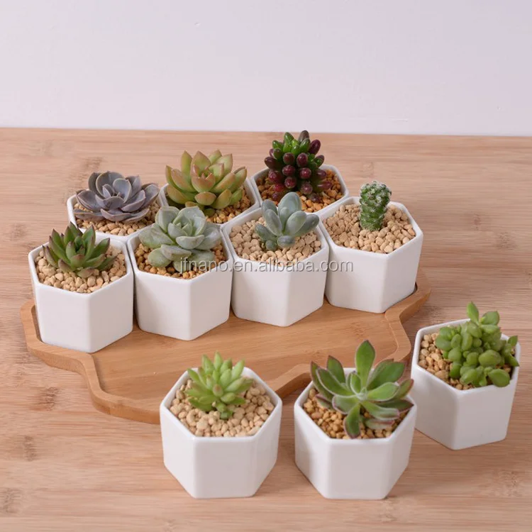 
Tray Glazed Pottery Planters with Bamboo Zakka Combination Potted Six Sides Indoor for Home, Garden Used with Flower/green Plant 