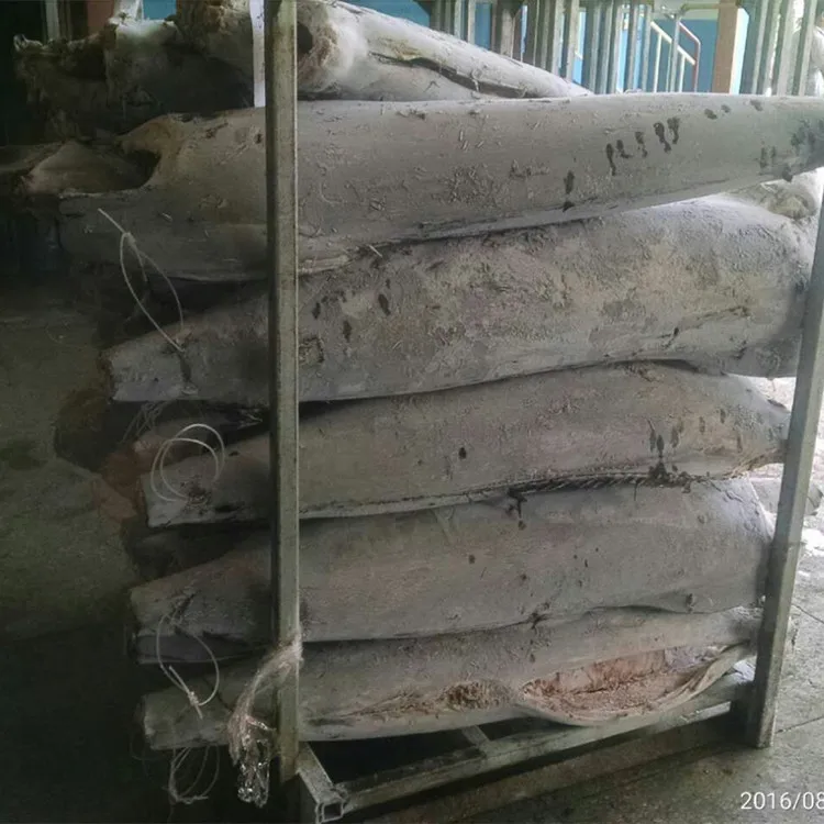 2019 Hot sale New Arrival High Quality Blue Marlin For Market Or Can