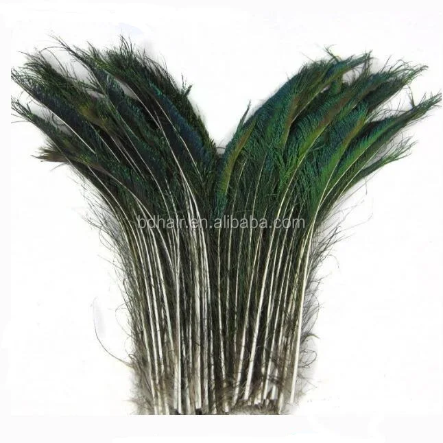 
Long peacock feathers 50cm,60cm,70cm 