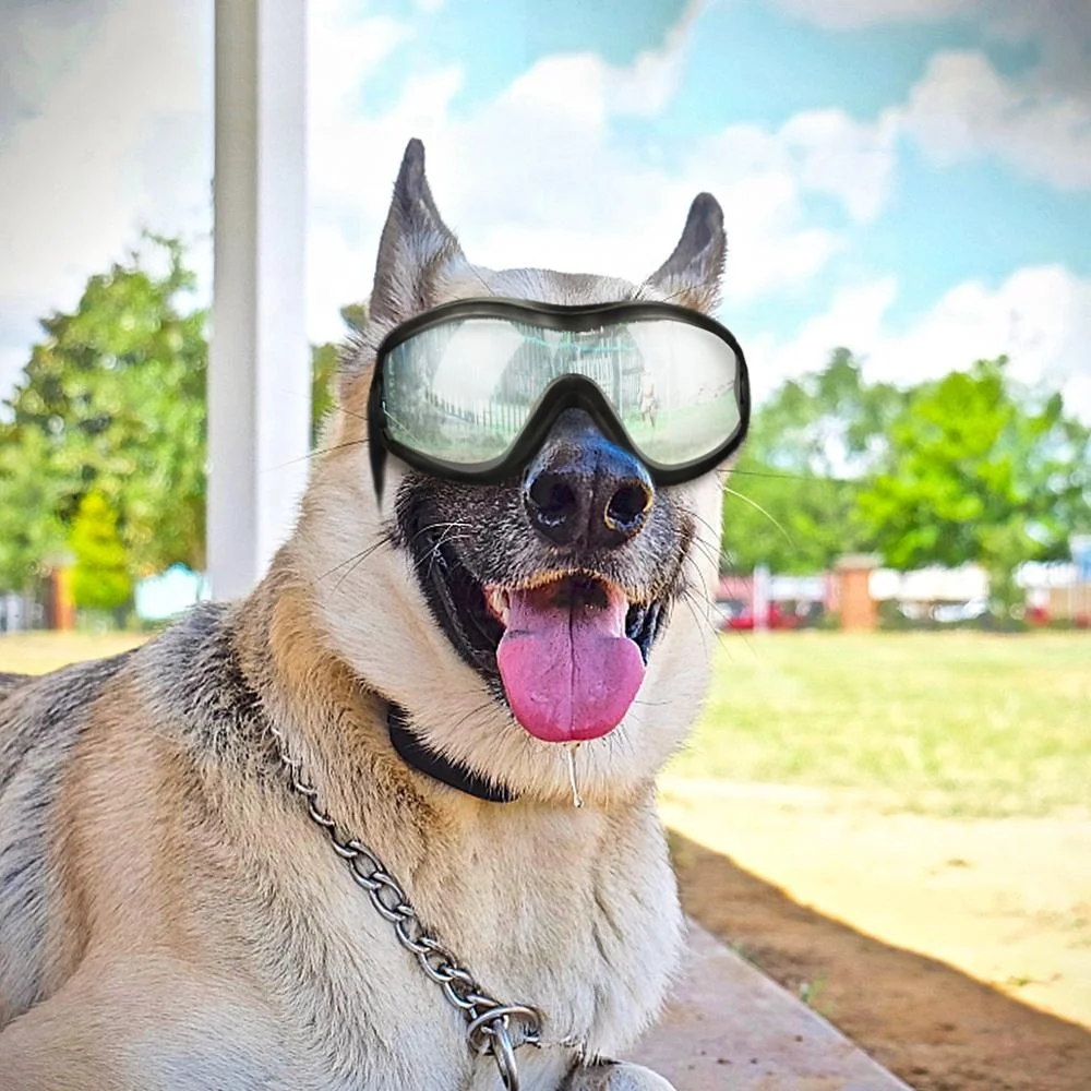 Dog UV Protection Sunglasses Pet Waterproof Goggles Fashion Glasses for Dog