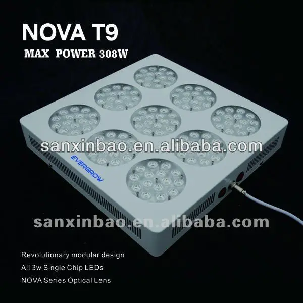 Evergrow lighting nova T9 led grow light bean plant growth stages