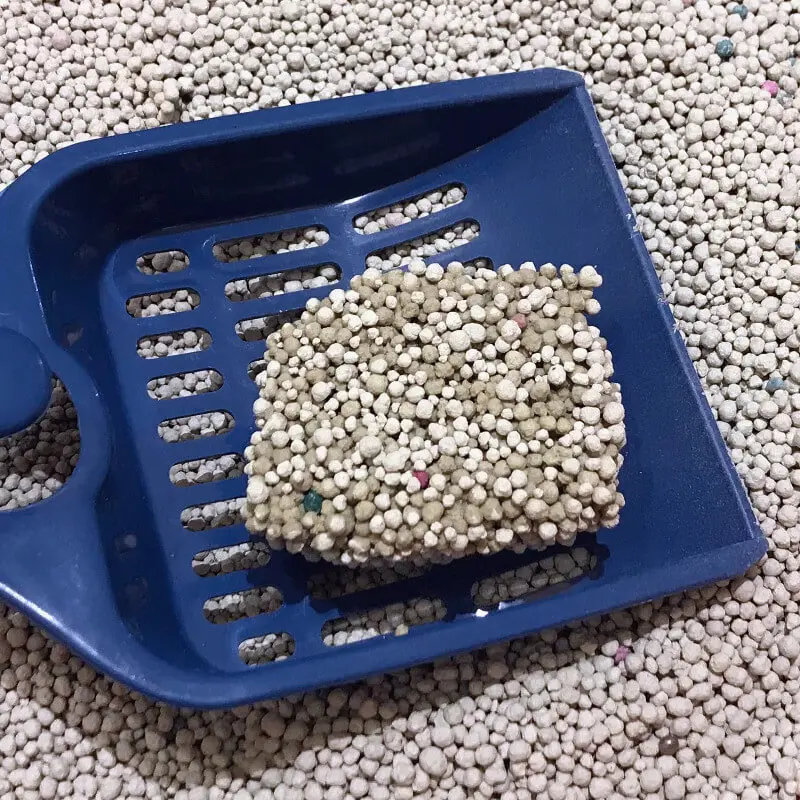 Indian best quality bentonite litter powder use for cat well drilling for bulk sales