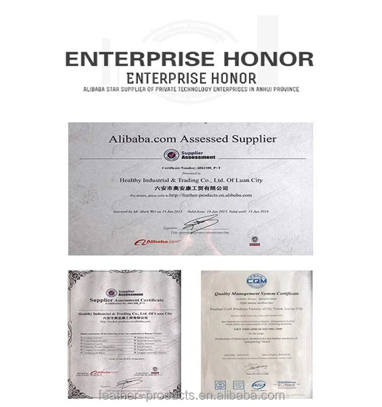 Indoor sporting shuttlecock,China Factory Top Quality Badminton Ball