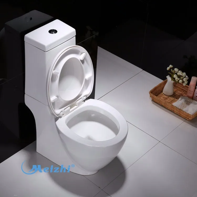 Water saving bathroom composting toilet