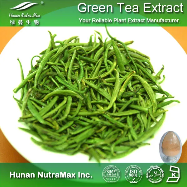 Low caffein Green Tea extract 30% L- Theanine 98% Polyphenole 95% EGCG