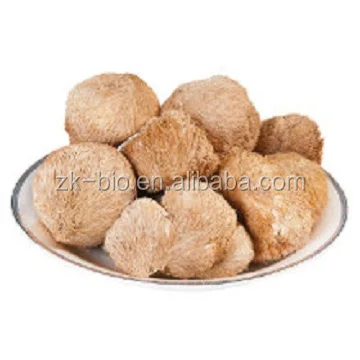 Органический высококачественный сушеный гриб травяной