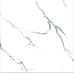 Italian Design  Polished Glazed Ceramic Porcelain Floor Tile