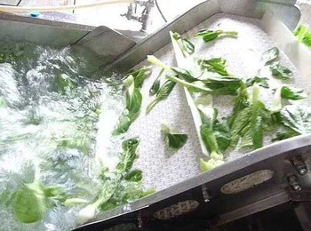 Free sample industrial carrot peeler equipment supplier