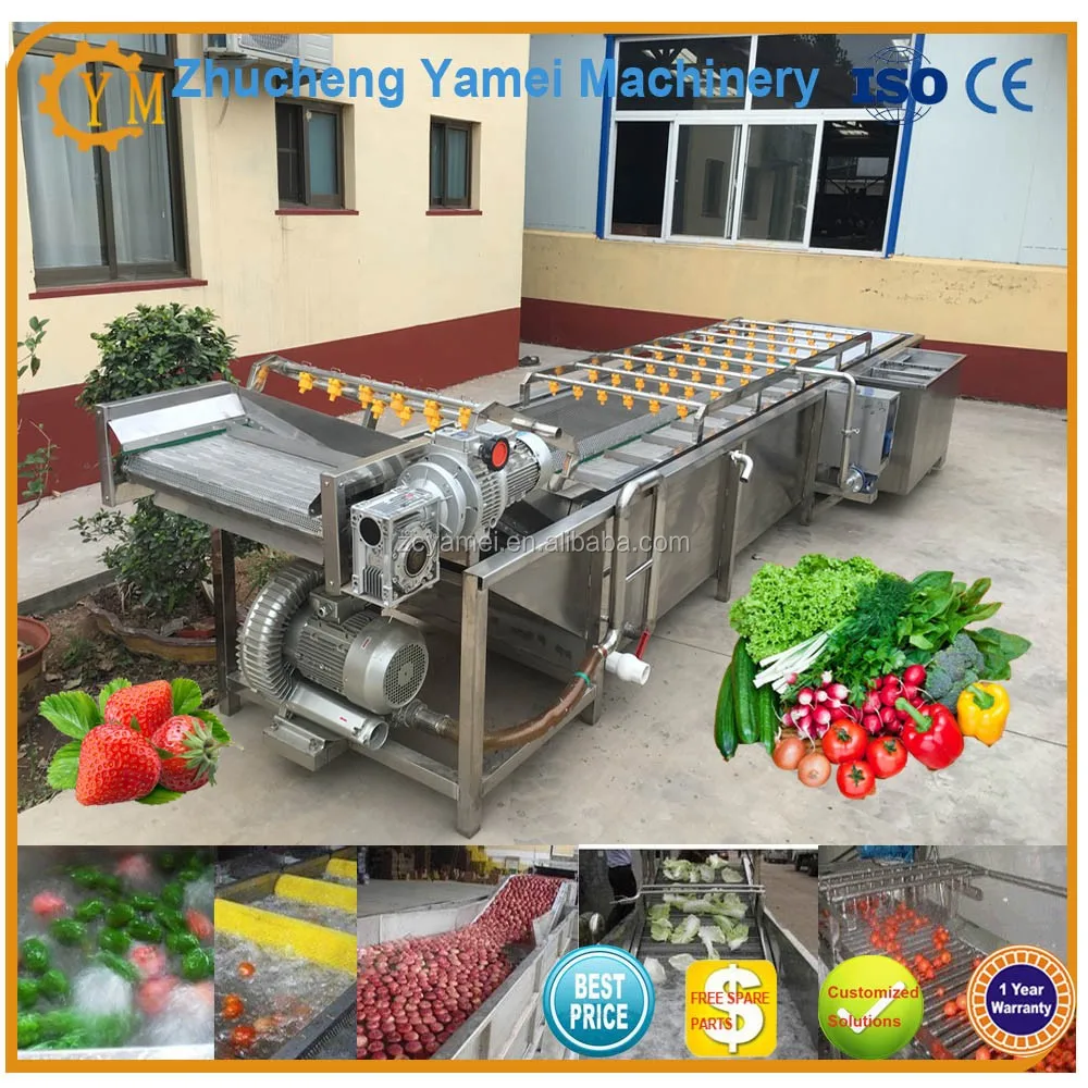 industrial professional straw berry sorter/strawberry sorting machine