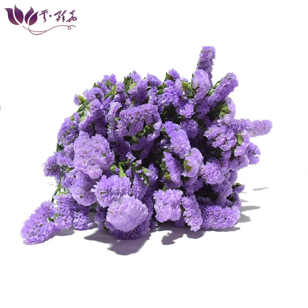 
Export colorful fresh myosotis cut flowers for holiday party 