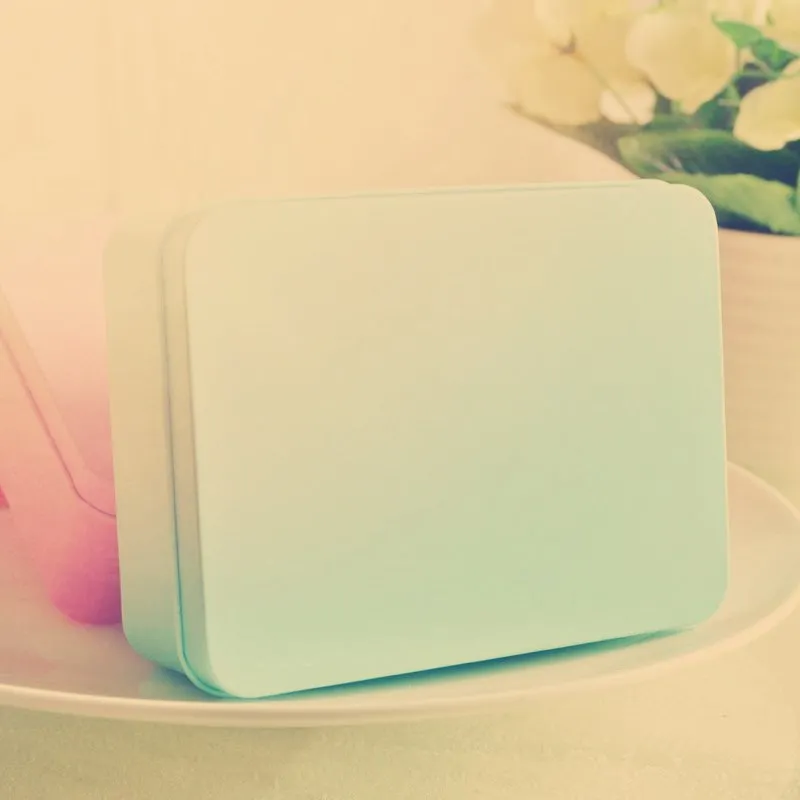 Wholesale Price Custom Printed Eco-friendly Food Packing Case Tin Lunch Box