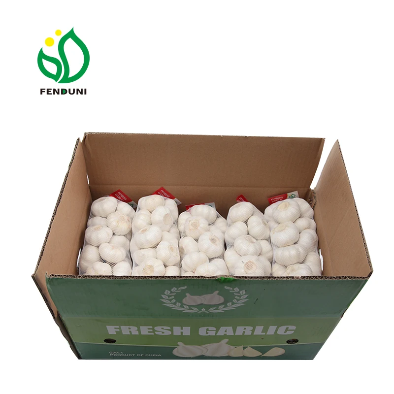 Fresh Garlic Price for Morocco 10kg/bag, 20kg/bag